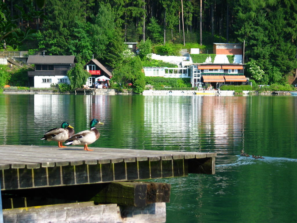 Villa Mayr Villach Esterno foto